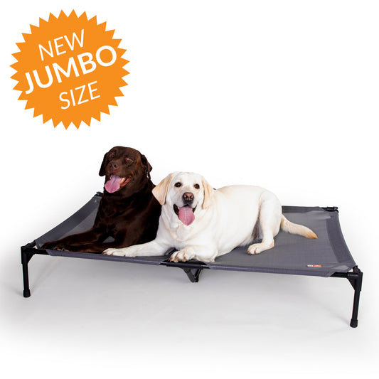 Artsuppl All Season All Weather Dog Cot