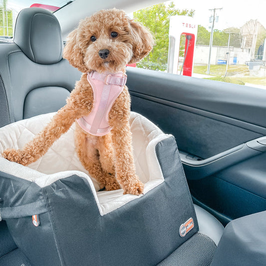 Artsuppl Bucket Booster? Pet Seat