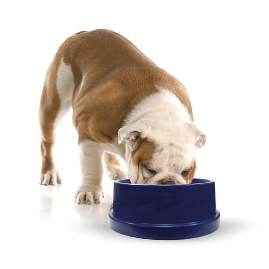 Coolin' Bowl Blue, 96 Oz.